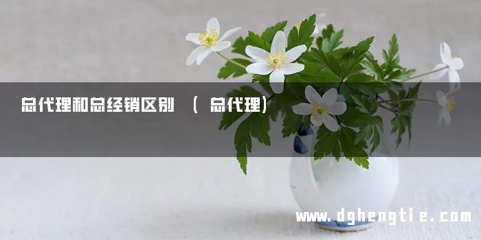 总代理和总经销区别 (总代理)